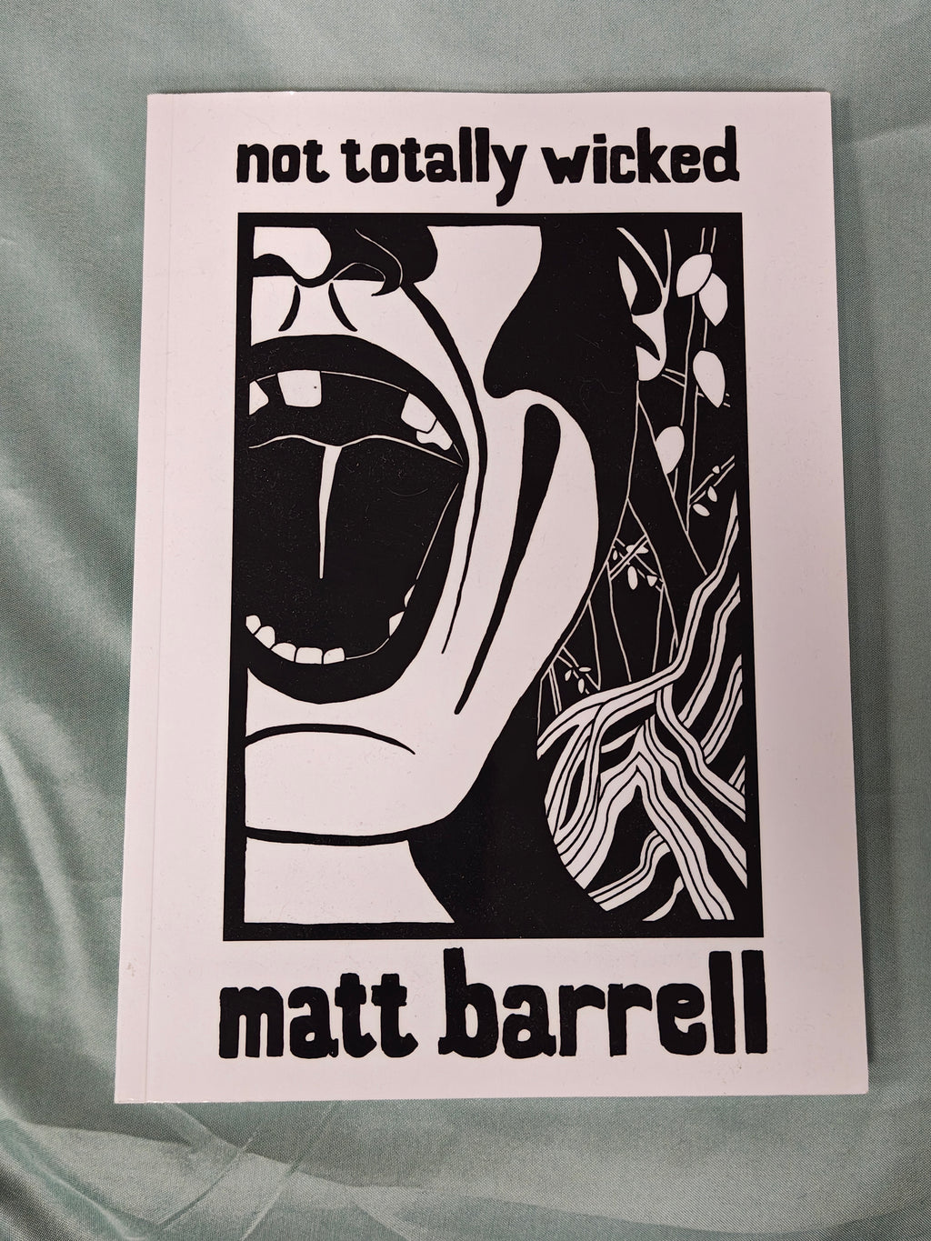 Not Totally Wicked